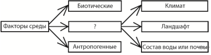 Схема движущие силы эволюции. Схема классификации движущих сил эволюции. Движущие силы эволюции схема. Рассмотрите схему классификации углеводов. Рассмотрите предложенную схему классификации углеводов.