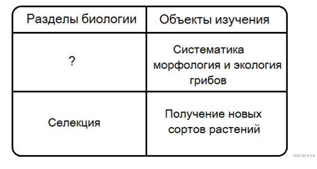 Биология в таблицах схемах и рисунках